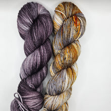 Load image into Gallery viewer, SNYC Make-A-Long Kit 3 - Heathered Yarn Company
