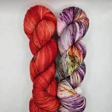 Load image into Gallery viewer, SNYC Make-A-Long Kit 10 - Heathered Yarn Company
