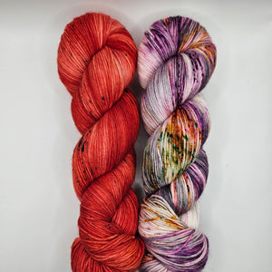 SNYC Make-A-Long Kit 10 - Heathered Yarn Company